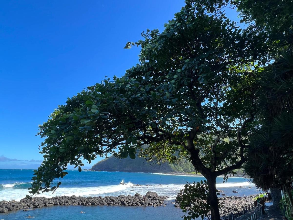 Le Liseron Creole - Entre Terre, Mer Et Riviere - Proche Toutes Commodites 圣若瑟 外观 照片