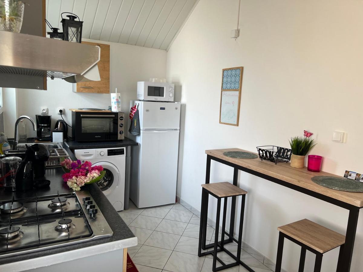 Le Liseron Creole - Entre Terre, Mer Et Riviere - Proche Toutes Commodites 圣若瑟 外观 照片