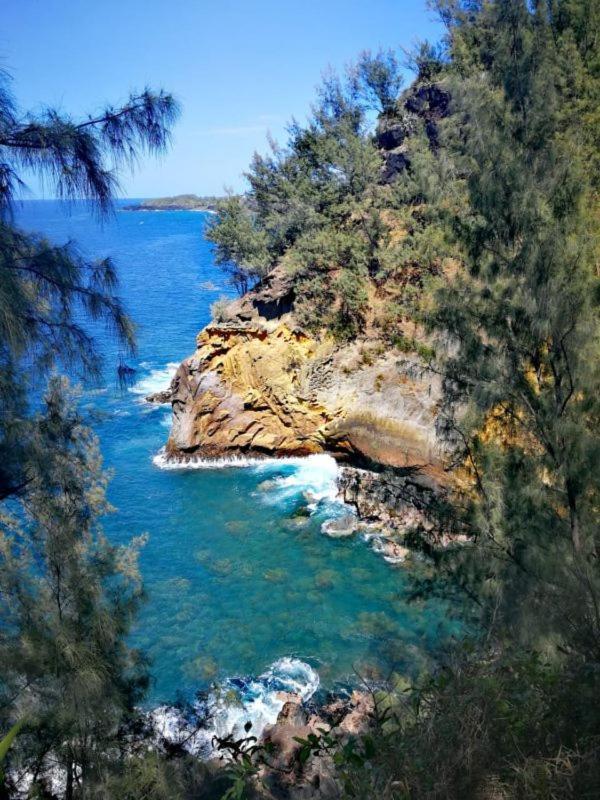 Le Liseron Creole - Entre Terre, Mer Et Riviere - Proche Toutes Commodites 圣若瑟 外观 照片